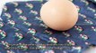 Learn to Silk-Dye Eggs - DIY Crafts - Guidecentral