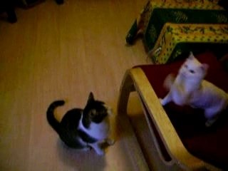 De jour... Enfin, de jour en hiver...