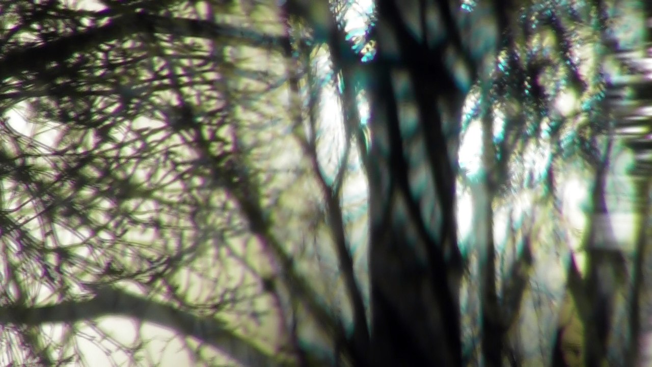 March 23 2018 DL6