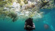 Un plongeur dans un océan de plastique en Indonesie