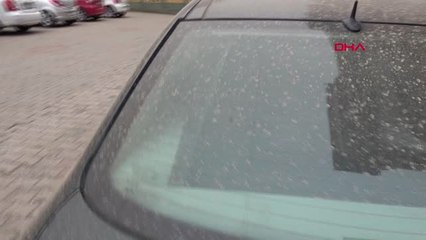 Karabük'te Araçlar Çamurla Kaplandı