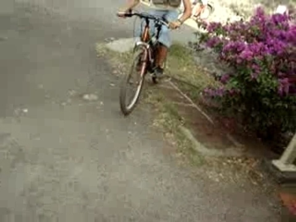 yaaaaaaa
