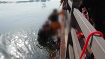 승용차 강에 추락, 60대 운전자 중태 / YTN