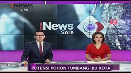 Dinas Kehutanan Pemprov DKI Akui Tak Miliki Tim Cukup untuk Pantau Pohon