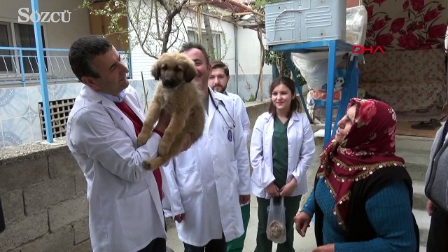 Köpek sevgisi ile sosyal medyanın fenomeni oldu