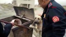 İşe geç kaldı ama köpeği kurtardı