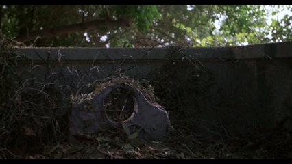 Les Chroniques du Doc Nanar: Les Goulies