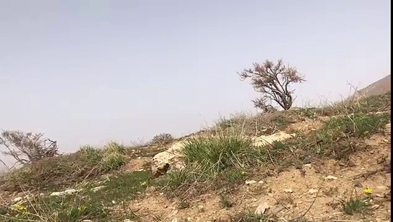 Teröristlerin tuzakları böyle imha edildi