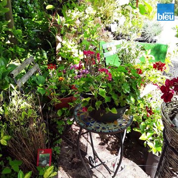 À la recherche des signes du printemps