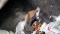 Erzincan'da ayağı çöp kutusuna sıkışan köpeği itfaiye kurtardı
