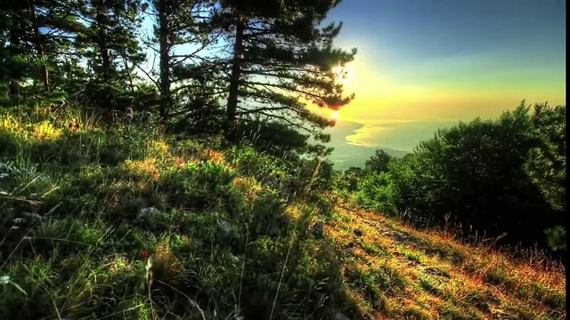 11 Yaşındaki Bu Kızın Evlenmek İçin Çok Önemli Bir Nedeni Var