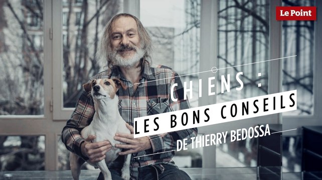 Chiens : les bons conseils de Thierry Bedossa