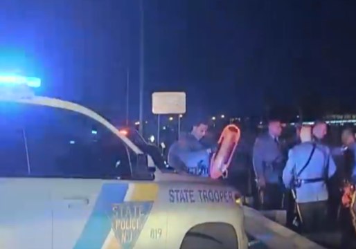 NJ State Troopers Rescue Man Stuck in Swamp Near Turnpike
