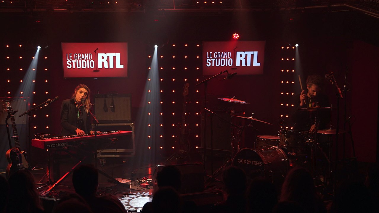 Cats on trees - Birthday (LIVE) Grand Studio RTL