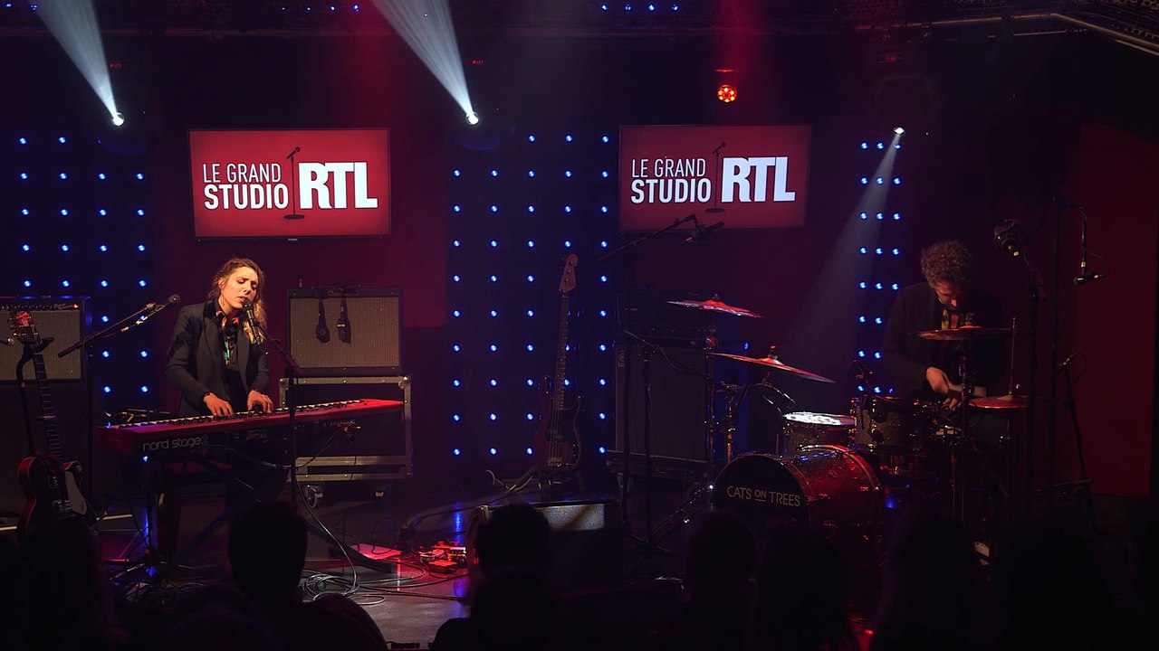 Cats on trees - Keep on dancing (LIVE) Grand Studio RTL