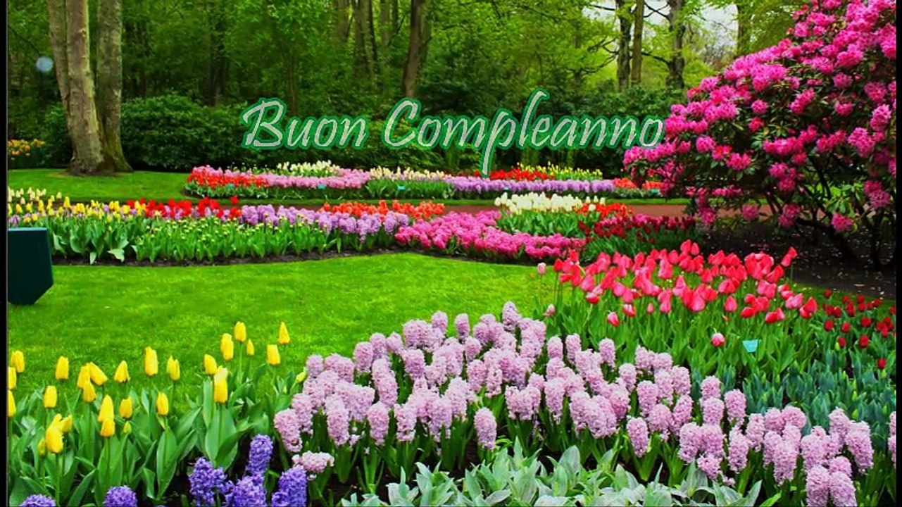 BUON COMPLEANNO PRIMAVERA !!!