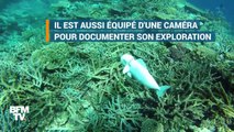 Ce poisson n'est pas un jouet. Il part à la conquête des océans !