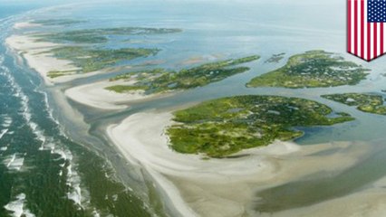 Gulf of Mexico dead zone could take decades to recover