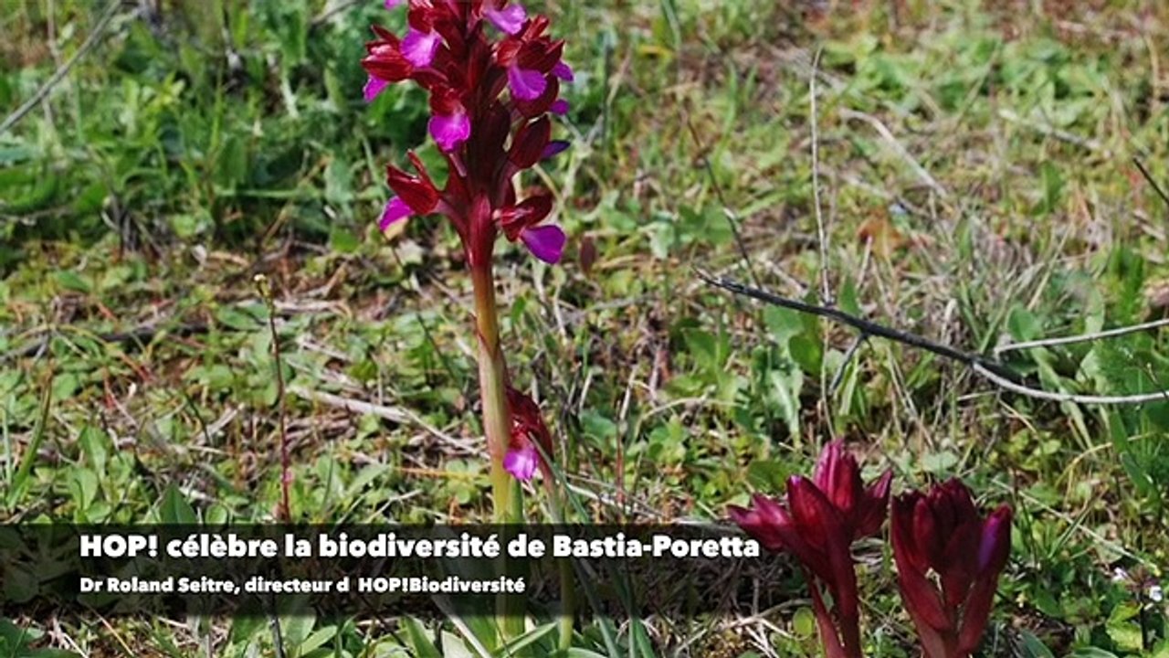 HOP! célèbre la biodiversité de Bastia-Poretta