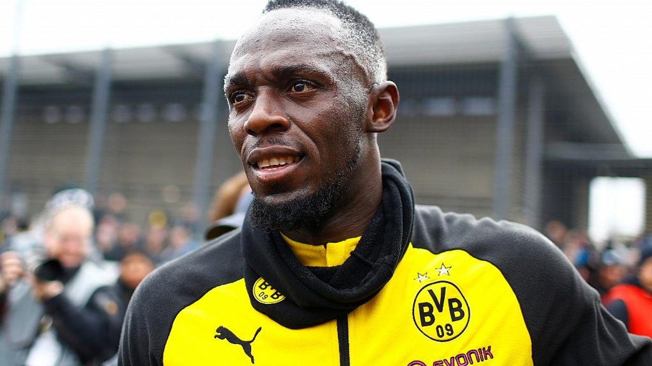 Bolt, des pointes aux crampons