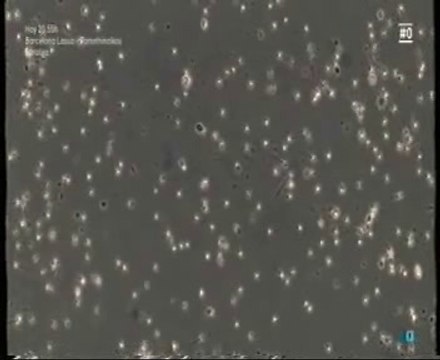 Fertilidad masculina: Factores de riesgo