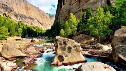 Nhớ Về Em (Karaoke Beat) - Tone Nữ (Quang Lê)