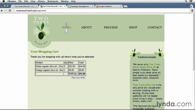 09.02 - Creating RM List | Lynda Adwords | 09. Using Display Ads in Remarketing Campaigns
