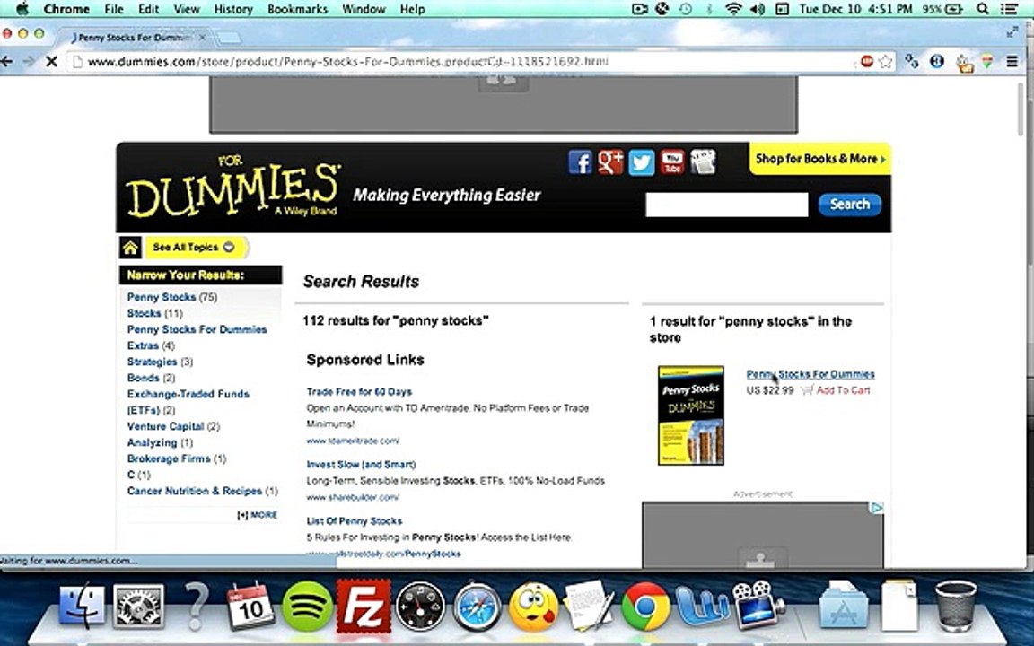 Dummies | Profitable Niche Market