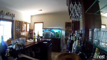 Un aquarium géant éclate sans aucune raison dans le salon