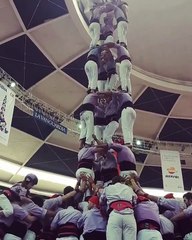 Ils réussissent une tour humaine de 7 étages. Fou