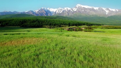 CYPRIEN-L'INVENTION DU CORPS HUMAIN