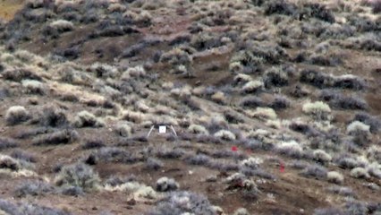 6.5 Creedmoor 800 yards, 4" spinner