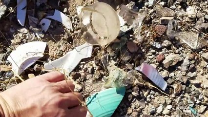 Hiking, Finding Old Stuff, Learning about Desert Plants, Rocks & More!