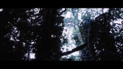 Predator Movie Action Scene || Fight Action Scene FullHd Video