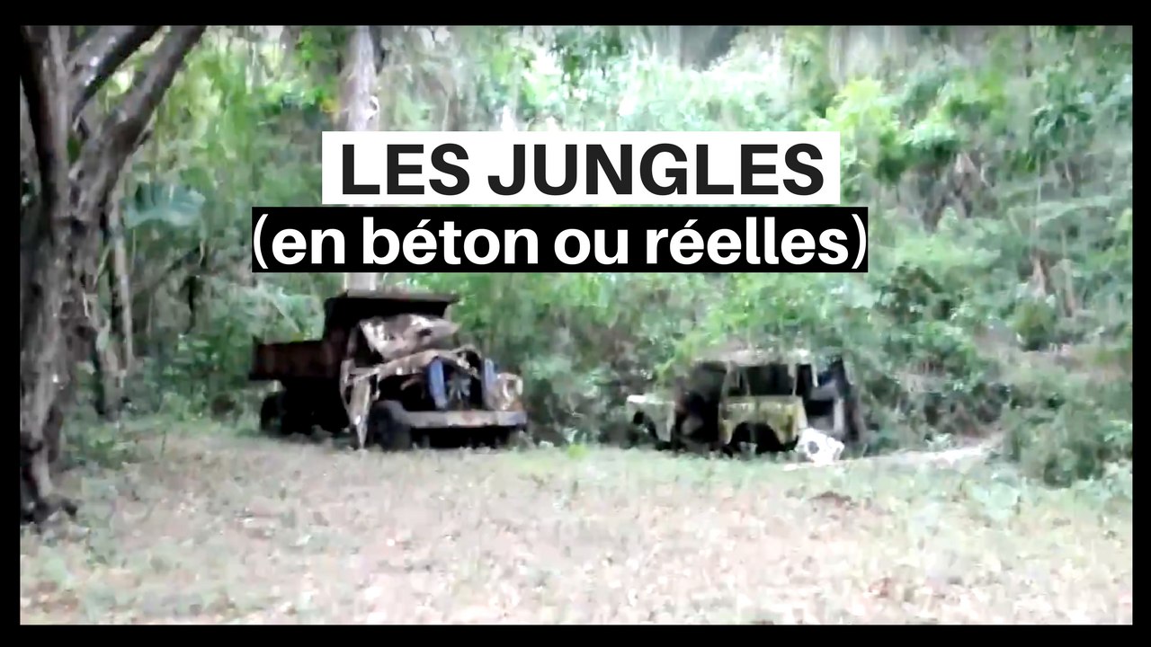 Les Jungles (en béton ou réelles)