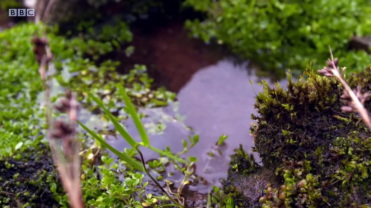 The Taff: The River That Made Wales (1 of 3)