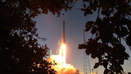 Elon Musk's Mission to Put WiFi on the Moon! 3 Things To Know Today.