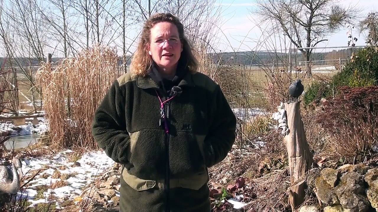 Hund Rückruf beibringen ► Rückruftraining ► Sicherer Rückruf Hund