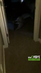 BUSTED 