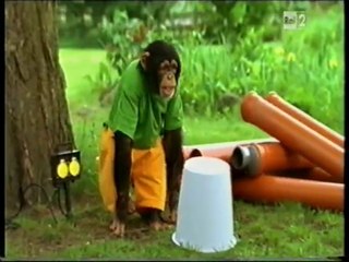 Il nostro amico Charly 16x12 - Arrivi e partenze