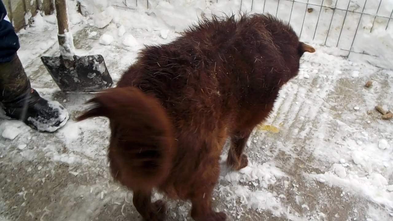 Old boy 6-7 years old