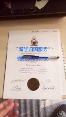 毕业证成绩单+认证Q微2637859758办理加拿大布鲁克大学毕业证成绩单学历认证Brock University