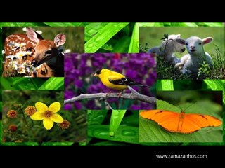 Dünyayı Kimler Yönetiyor