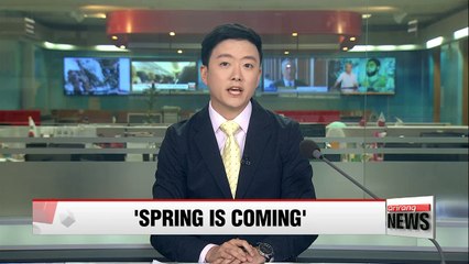 'Spring is Coming': title and date for South Korean concert in Pyongyang confirmed