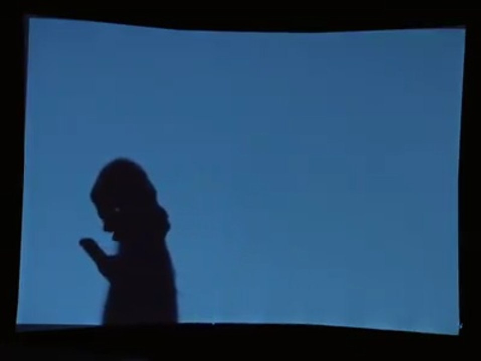 Hand shadow show