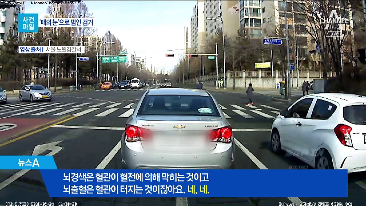 [사건파일]‘매의 눈’ 형사에 딱 걸린 여성 도둑