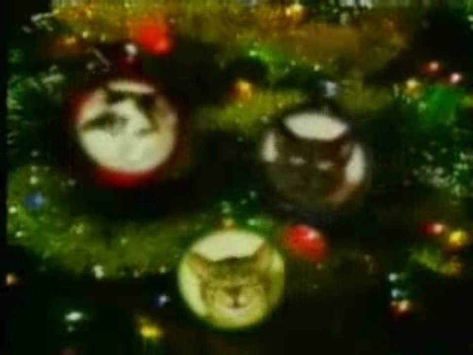 Jingle_cats