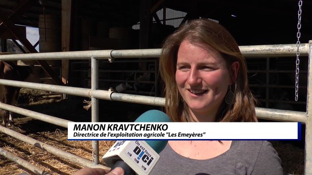 D!CI TV : oui, les vaches ressentent le changement d'heure