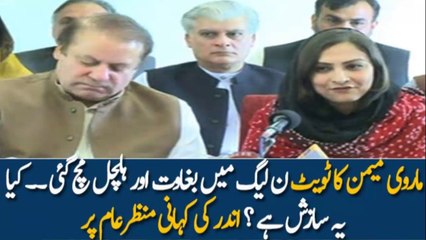 PMLN Divided After Marvi Memon Tweet?