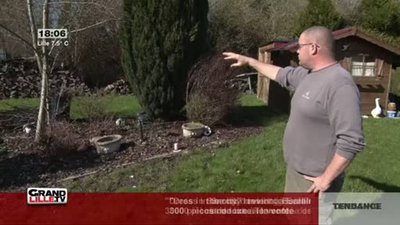 Comment se débarrasser des taupes?
